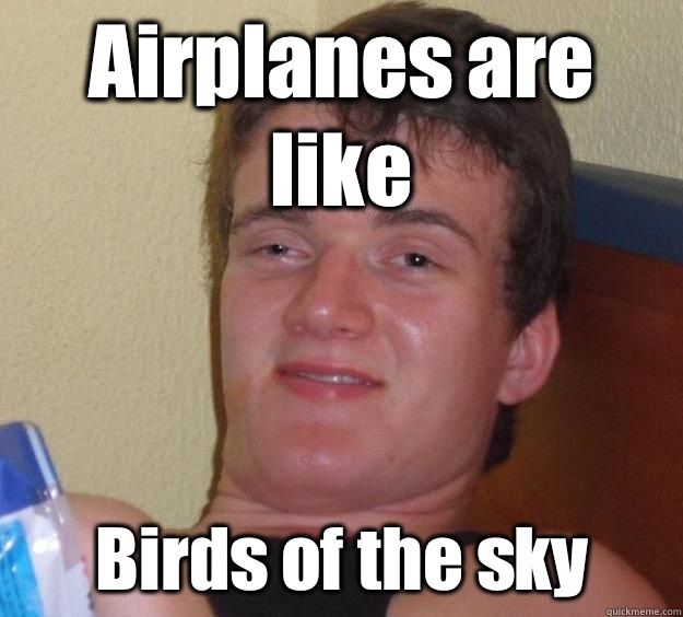 Airplanes are like Birds of the sky  10 Guy