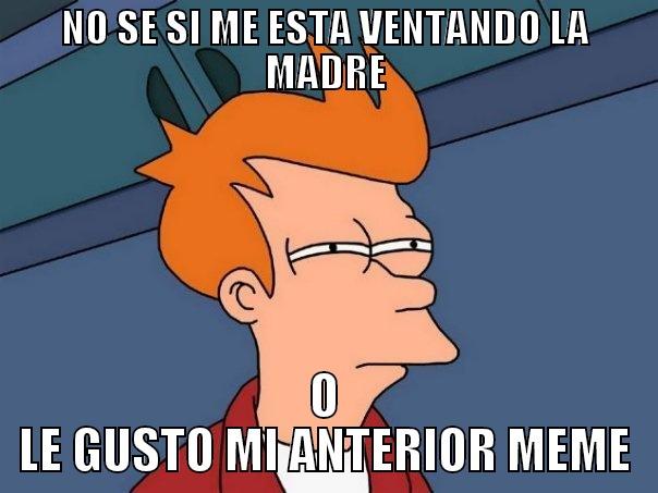 NO SE SI ME ESTA VENTANDO LA MADRE O LE GUSTO MI ANTERIOR MEME Futurama Fry