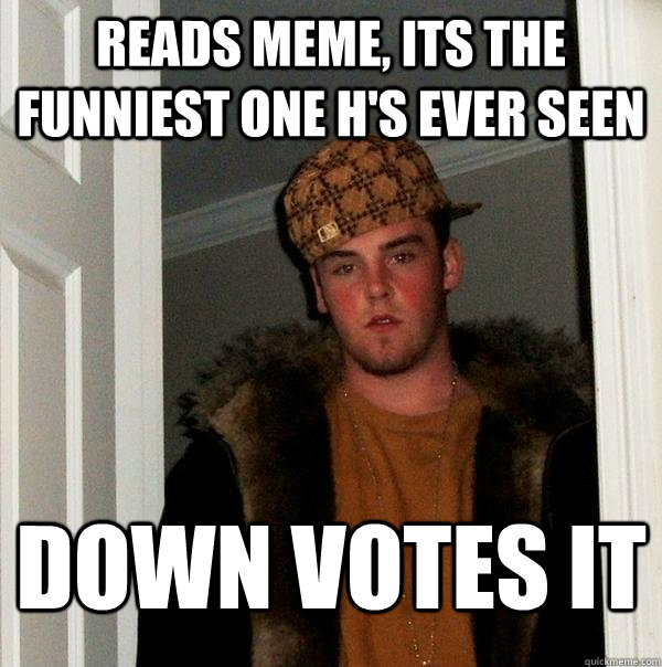 Reads meme, its the funniest one h's ever seen Down votes it  Scumbag Steve