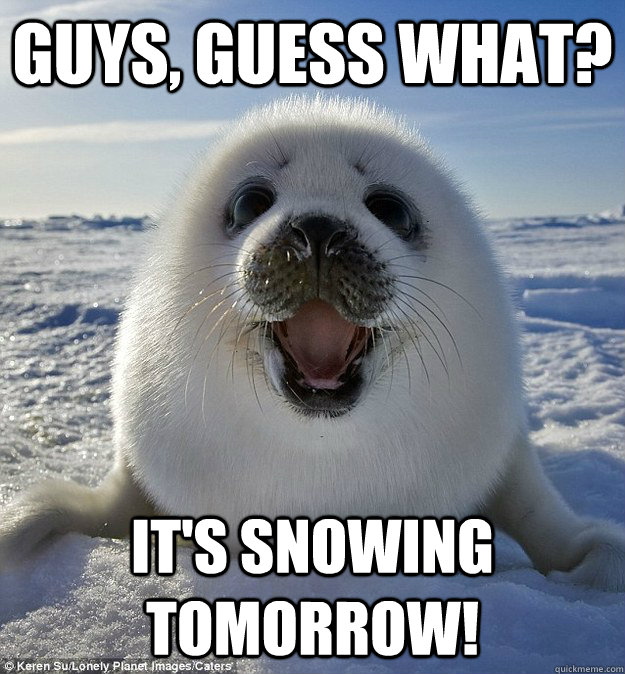 Guys, guess what? it's snowing tomorrow!  