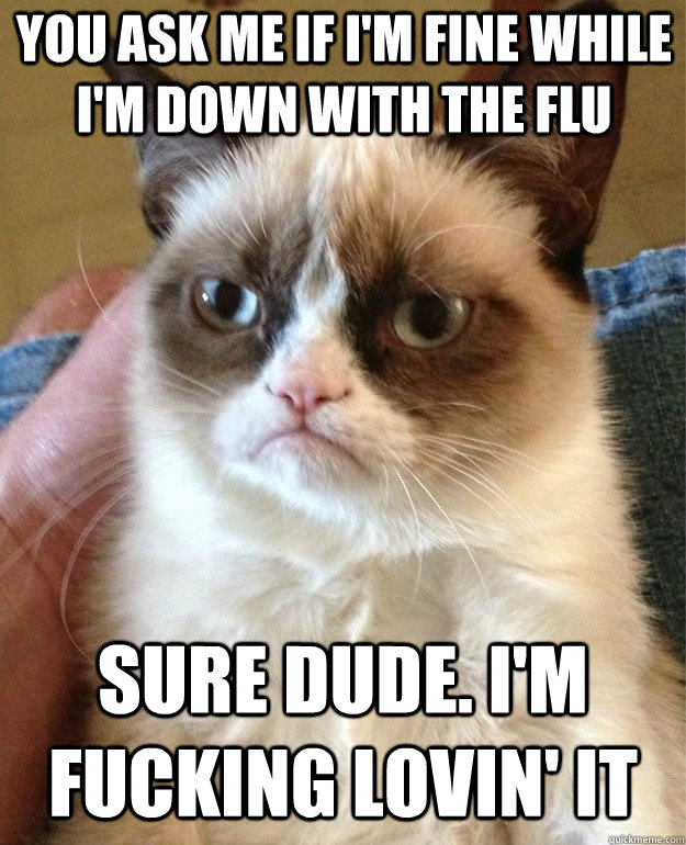 YOU ASK ME IF I'M FINE WHILE I'M DOWN WITH THE FLU SURE DUDE. I'M FUCKING LOVIN' IT  Grumpy Cat