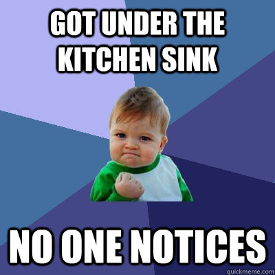 got under the kitchen sink no one notices - got under the kitchen sink no one notices  Success Kid