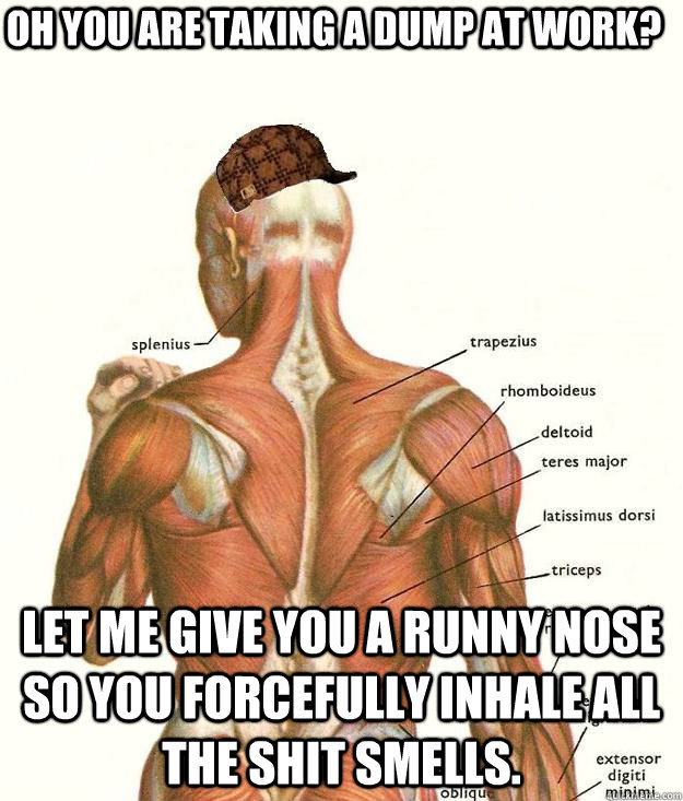 Oh you are taking a dump at work? Let me give you a runny nose so you forcefully inhale all the shit smells.  Scumbag body