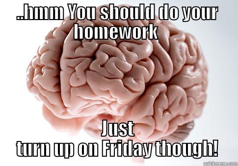 Whatcu think Bae - ..HMM YOU SHOULD DO YOUR HOMEWORK  JUST TURN UP ON FRIDAY THOUGH! Scumbag Brain