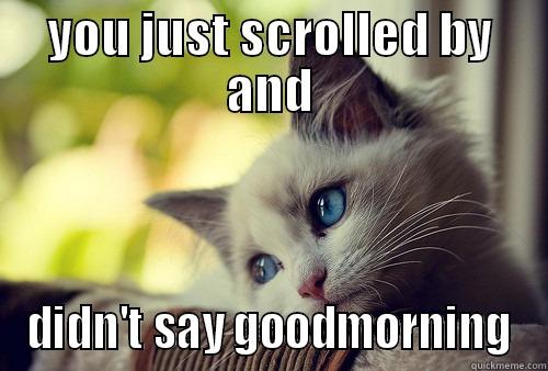 YOU JUST SCROLLED BY AND DIDN'T SAY GOODMORNING First World Problems Cat