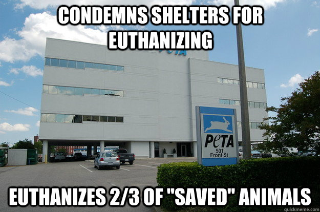 CONDEMNS SHELTERS FOR EUTHANIZING EUTHANIZES 2/3 of 