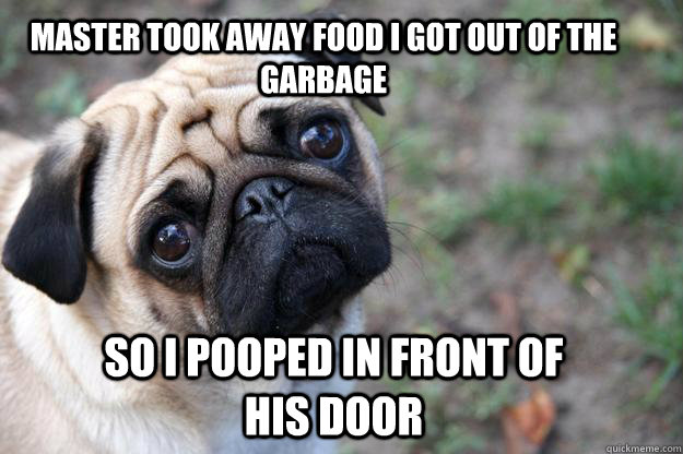 Master took away food I got out of the garbage So I pooped in front of his door  First World Dog problems