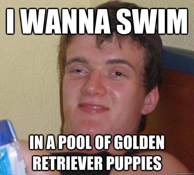 I wanna swim in a pool of golden retriever puppies  10 Guy