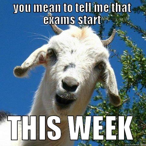 surprised goat - YOU MEAN TO TELL ME THAT EXAMS START THIS WEEK Misc