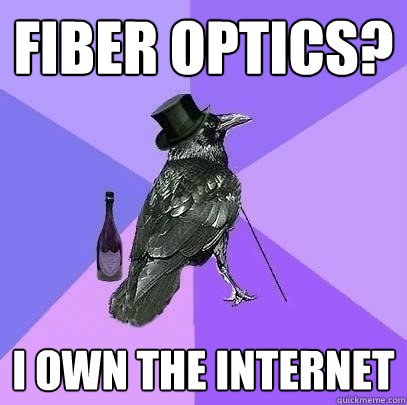 Fiber Optics? I own the internet  Rich Raven