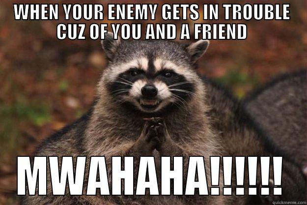 YOU GOIN' DOWN - WHEN YOUR ENEMY GETS IN TROUBLE CUZ OF YOU AND A FRIEND MWAHAHA!!!!!! Evil Plotting Raccoon