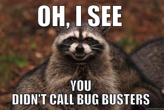 OH, I SEE YOU DIDN'T CALL BUG BUSTERS Evil Plotting Raccoon