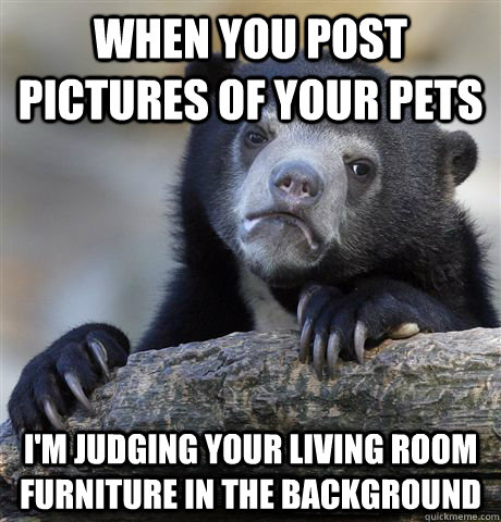 When you post pictures of your pets I'm judging your living room furniture in the background  Confession Bear