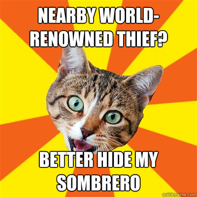 Nearby world-renowned thief? better hide my sombrero  Bad Advice Cat