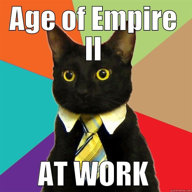 AOE 2 @ work - AGE OF EMPIRE II AT WORK Business Cat