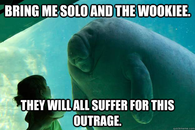 Bring me Solo and the Wookiee. They will all suffer for this outrage.  Overlord Manatee