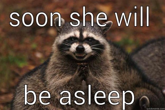 SOON SHE WILL BE ASLEEP Evil Plotting Raccoon