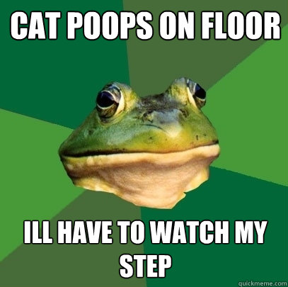 Cat poops on floor ill have to watch my step - Cat poops on floor ill have to watch my step  Foul Bachelor Frog