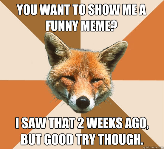 You want to show me a funny meme? I saw that 2 weeks ago,
but good try though.  Condescending Fox