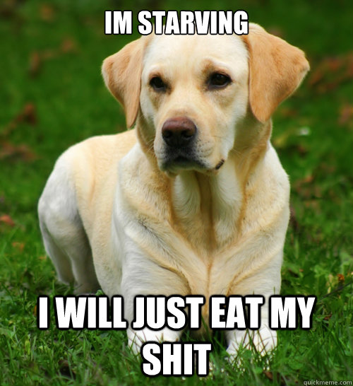 Im starving I will just eat my shit  Dog Logic