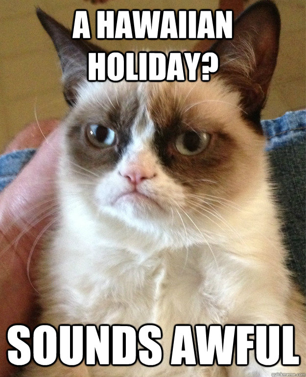 A Hawaiian holiday? Sounds awful  Grumpy Cat