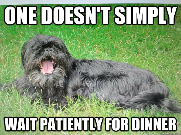 One doesn't simply wait patiently for dinner  