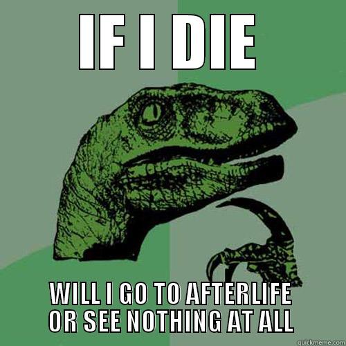 If I die, Will I go to afterlife or see nothing at all? - IF I DIE WILL I GO TO AFTERLIFE OR SEE NOTHING AT ALL Philosoraptor