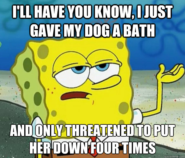 I'll have you Know, I just gave my dog a bath and only threatened to put her down four times - I'll have you Know, I just gave my dog a bath and only threatened to put her down four times  Tough Spongebob