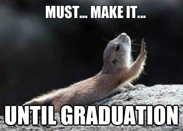  until graduation  Graduation Gopher