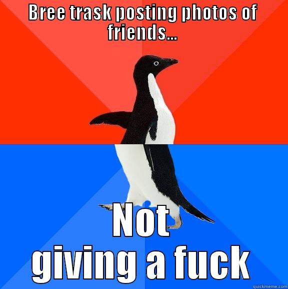 BREE TRASK POSTING PHOTOS OF FRIENDS... NOT GIVING A FUCK Socially Awesome Awkward Penguin