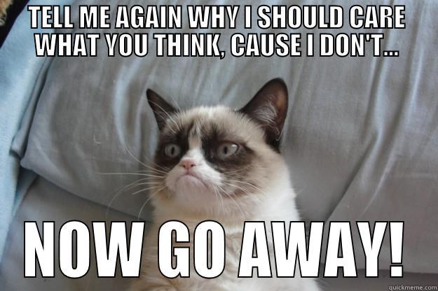 TELL ME AGAIN WHY I SHOULD CARE WHAT YOU THINK, CAUSE I DON'T... NOW GO AWAY! Grumpy Cat