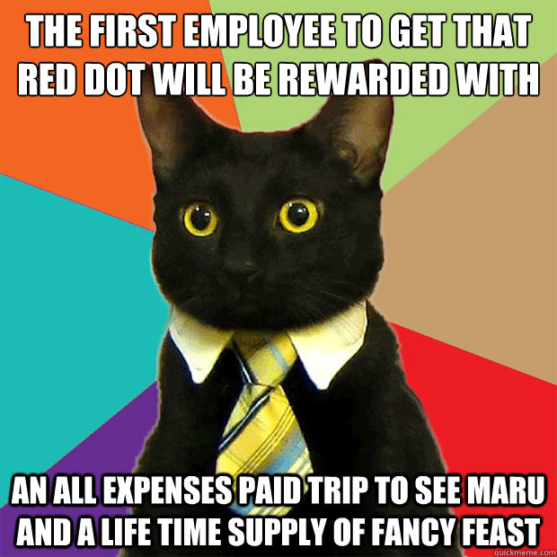 the first employee to get that red dot will be rewarded with an all expenses paid trip to see maru and a life time supply of fancy feast  Business Cat