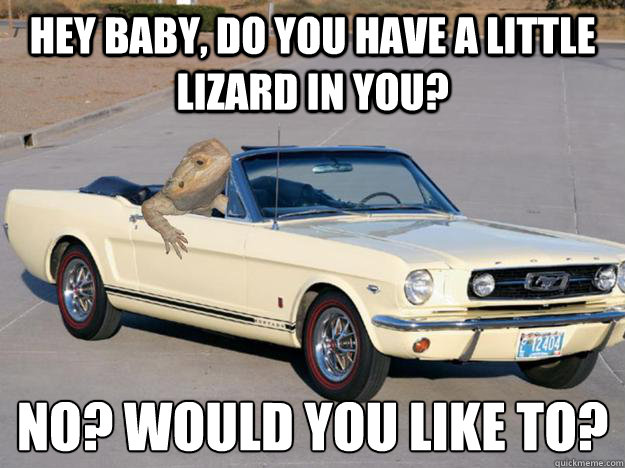 Hey baby, do you have a little lizard in you? No? Would you like to? 
  Pickup Dragon