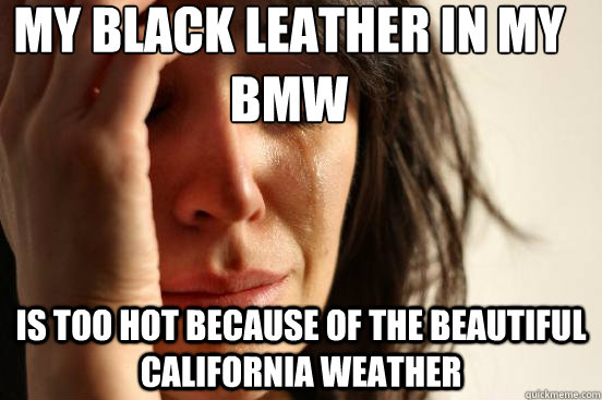 My black leather in my Bmw Is too hot because of the beautiful California weather  First World Problems