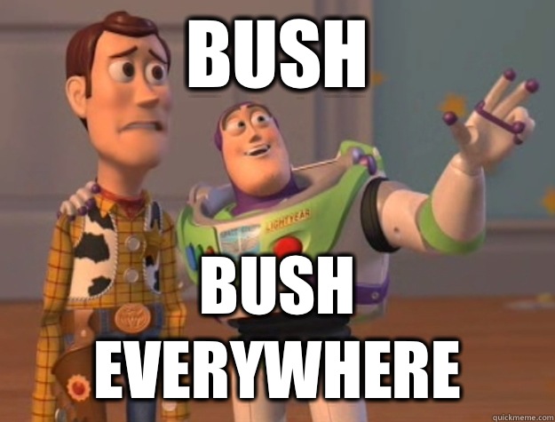 Bush Bush everywhere  Buzz Lightyear