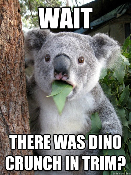 WAIT There was Dino crunch in Trim? - WAIT There was Dino crunch in Trim?  koala bear