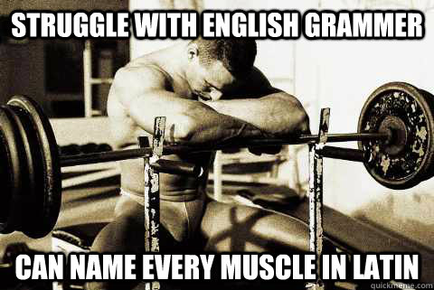 Struggle with english grammer can name every muscle in latin - Struggle with english grammer can name every muscle in latin  sad muscle guy