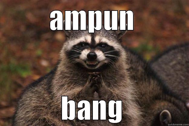 AMPUN BANG Evil Plotting Raccoon