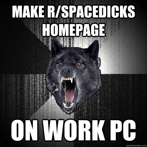 make r/spacedicks homepage on work pc  Insanity Wolf