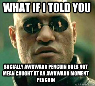 what if i told you Socially awkward penguin does not mean caught at an awkward moment penguin - what if i told you Socially awkward penguin does not mean caught at an awkward moment penguin  Matrix Morpheus