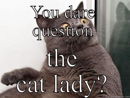 YOU DARE QUESTION THE CAT LADY? conspiracy cat