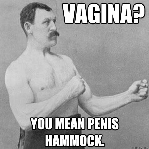 VAGINA?  YOU MEAN PENIS HAMMOCK.  overly manly man