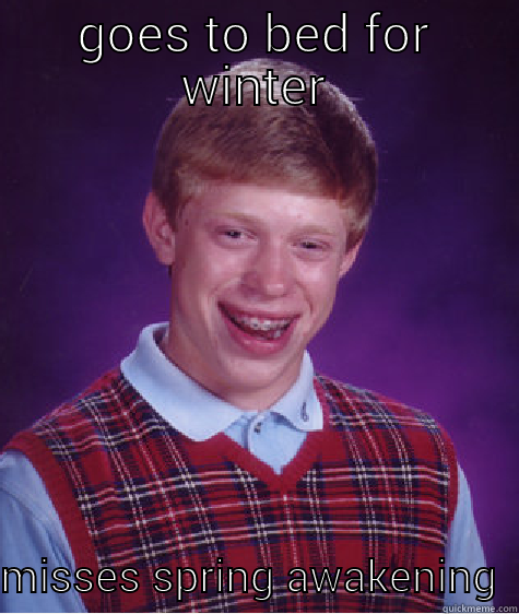 GOES TO BED FOR WINTER MISSES SPRING AWAKENING  Bad Luck Brian