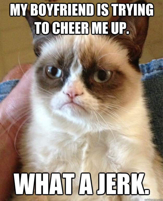 My boyfriend is trying to cheer me up. What a jerk.  Grumpy Cat