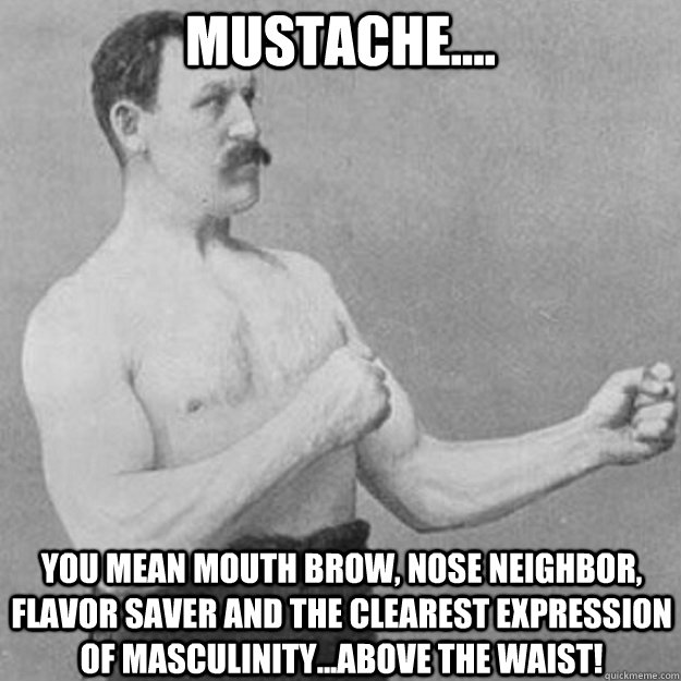 Mustache.... you mean mouth brow, nose neighbor, flavor saver AND THE CLEAREST EXPRESSION OF MASCULINITY...ABOVE THE WAIST!  overly manly man