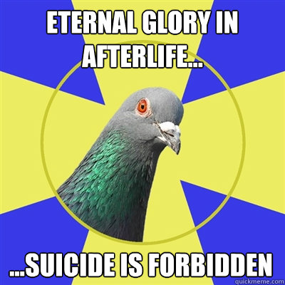 Eternal glory in afterlife... ...suicide is forbidden  Religion Pigeon