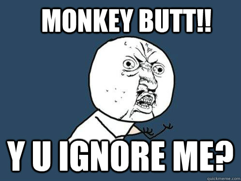 monkey butt!! y u ignore me?  Y U No