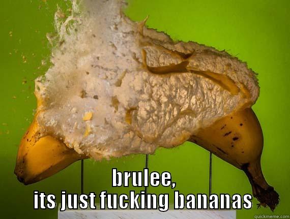  BRULEE, ITS JUST FUCKING BANANAS Misc