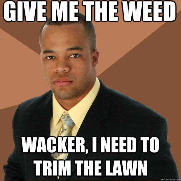 Give me the weed Wacker, i need to trim the lawn - Give me the weed Wacker, i need to trim the lawn  Successful Black Man