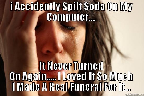 I ACCIDENTLY SPILT SODA ON MY COMPUTER.... IT NEVER TURNED ON AGAIN..... I LOVED IT SO MUCH I MADE A REAL FUNERAL FOR IT... First World Problems